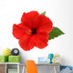 Red Hibiscus Flower White Wall Decal