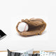 Baseball and Baseball Glove Wall Decal