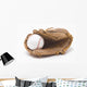 Baseball and Baseball Glove Wall Decal