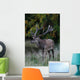 Red Deer Wall Mural