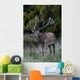 Red Deer Wall Mural