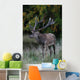 Red Deer Wall Mural