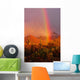 Rainbow Sunset Saguaro National Wall Decal