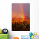 Rainbow Sunset Saguaro National Wall Decal