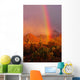 Rainbow Sunset Saguaro National Wall Decal