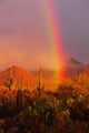 Rainbow Sunset Saguaro National Wall Decal