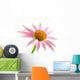 Echinacea