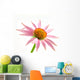 Echinacea
