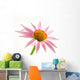 Echinacea