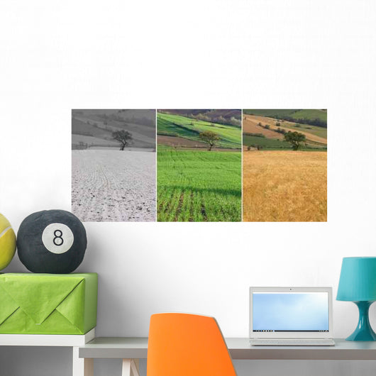 Grain Growth Wall Decal