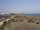 Playa Matagorda Wall Decal