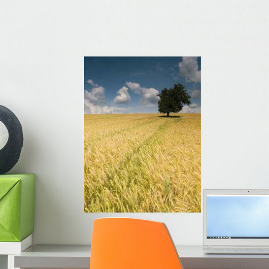 Field Wall Decal