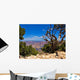 Grand Canyon Trees and Bushes Wall Decal