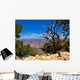 Grand Canyon Trees and Bushes Wall Decal