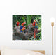Flock Parrot Macaw Wall Mural