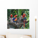 Flock Parrot Macaw Wall Mural