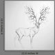 Deer with Antler like
