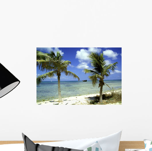 wrack des deutschen handelsschiffes, aruba Wall Mural