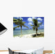 wrack des deutschen handelsschiffes, aruba Wall Mural