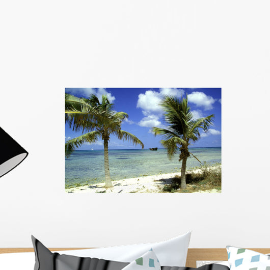 wrack des deutschen handelsschiffes, aruba Wall Mural