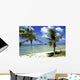 wrack des deutschen handelsschiffes, aruba Wall Mural