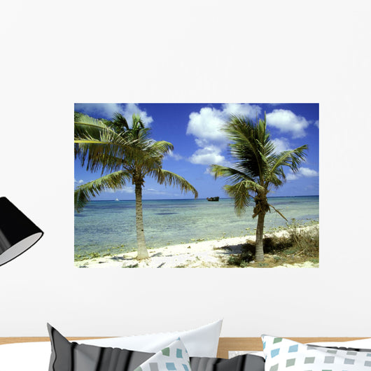 wrack des deutschen handelsschiffes, aruba Wall Mural