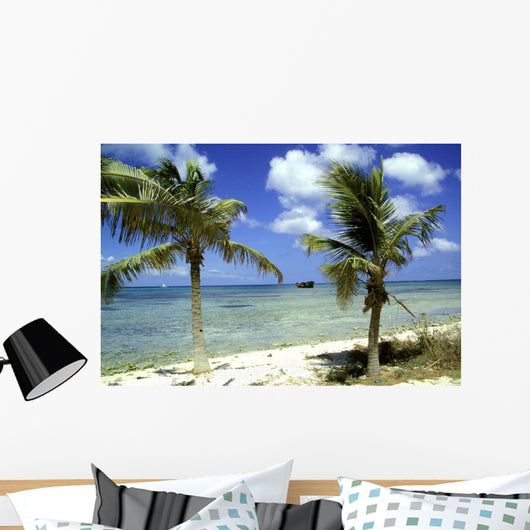 wrack des deutschen handelsschiffes, aruba Wall Mural