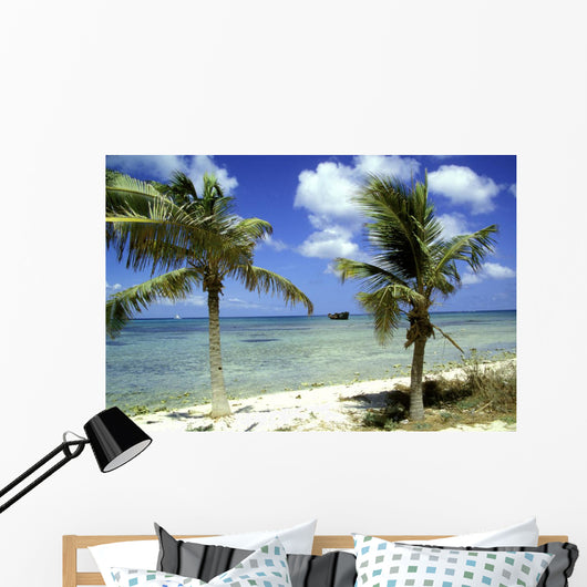 wrack des deutschen handelsschiffes, aruba Wall Mural