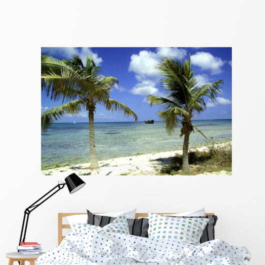 wrack des deutschen handelsschiffes, aruba Wall Mural