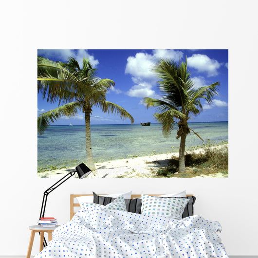 wrack des deutschen handelsschiffes, aruba Wall Mural