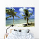 wrack des deutschen handelsschiffes, aruba Wall Mural