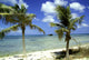 wrack des deutschen handelsschiffes, aruba Wall Mural