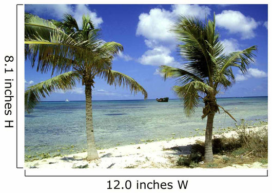 wrack des deutschen handelsschiffes, aruba Wall Mural