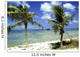 wrack des deutschen handelsschiffes, aruba Wall Mural
