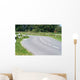 Kurvenreiche Strasse Wall Decal