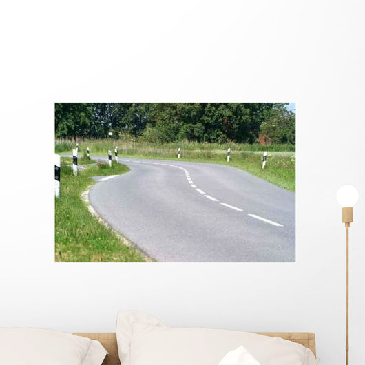 Kurvenreiche Strasse Wall Decal
