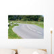 Kurvenreiche Strasse Wall Decal
