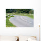 Kurvenreiche Strasse Wall Decal