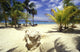 avila beach hotel;curacao Wall Mural
