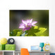 Lotus Wall Mural