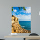 Beach Ocean Stones Wall Mural