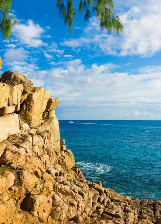 Beach Ocean Stones Wall Mural