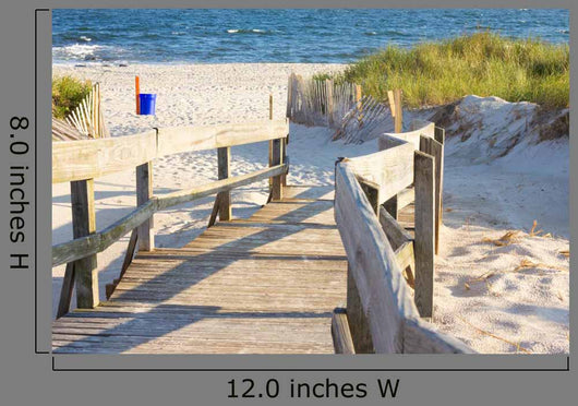 Walkway to Sandy Beach Wall Mural