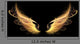 Demon Angel Fire hell Wings Wall Mural