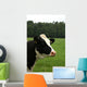 Cow Portrait