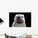 English Bulldog Wall Mural
