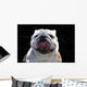 English Bulldog Wall Mural