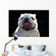 English Bulldog Wall Mural