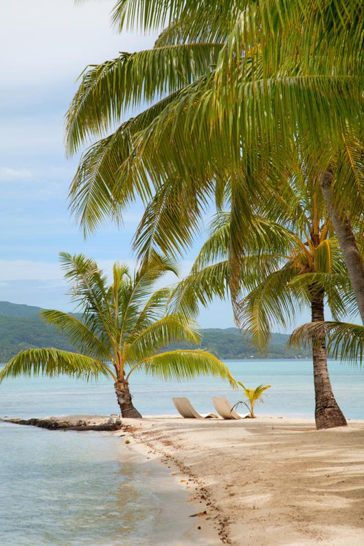 Tropical Island