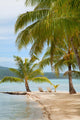 Tropical Island